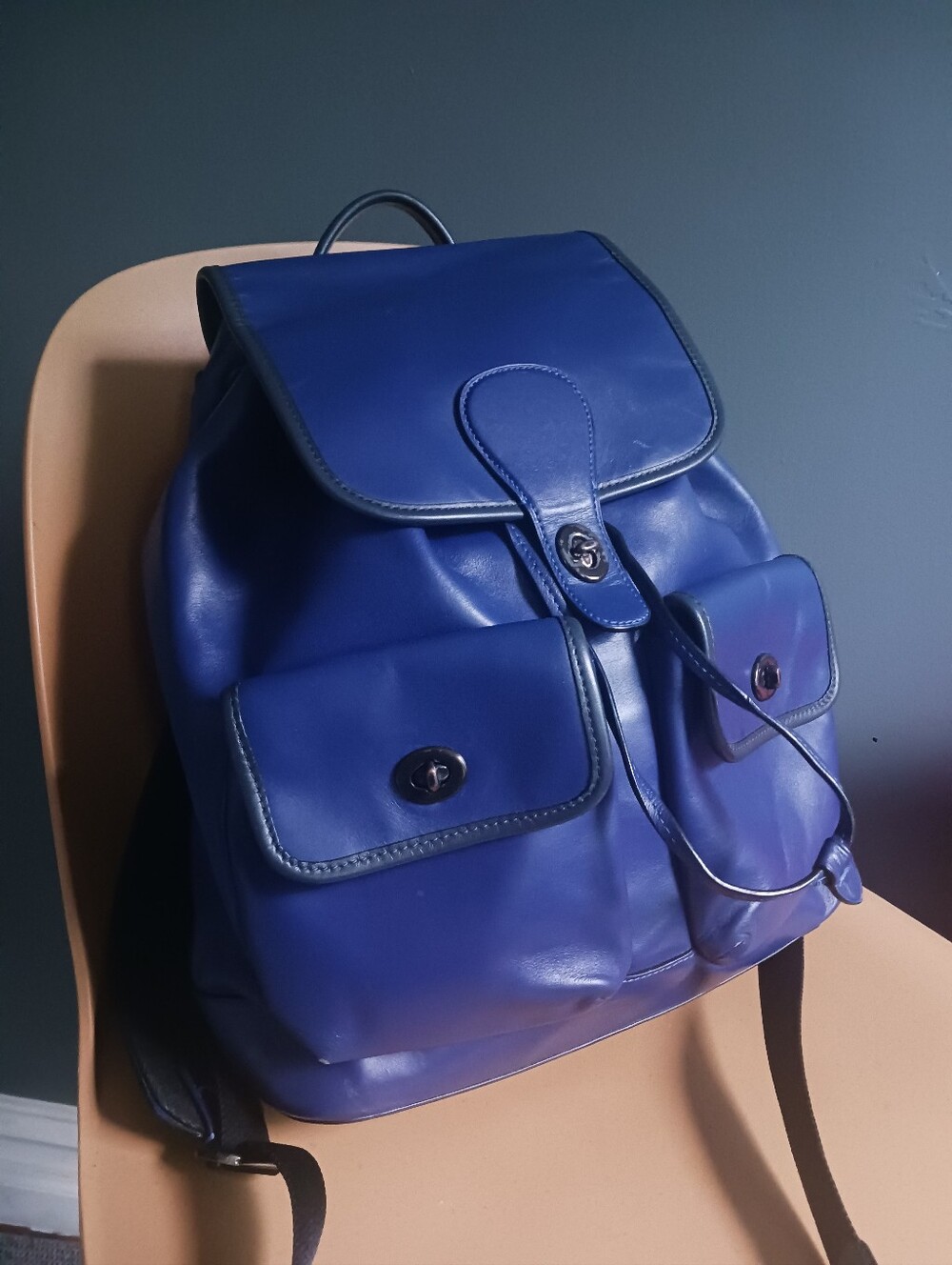 Coach Blue Genuine Leather Backpack
